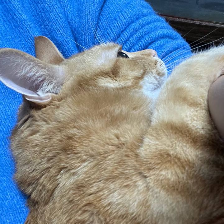 Ac934533 f1f5 4505 b09f 027aa7d2fb66 1736377577709