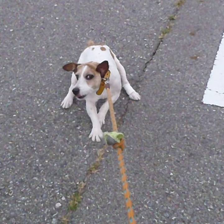 Ac934d71 a9a1 4604 af13 b713edf9c23b 1512391827365