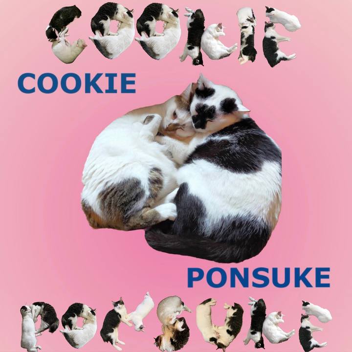 Ac9369eb 6f0b 4094 b034 0244dbbddaa7 1667820389775