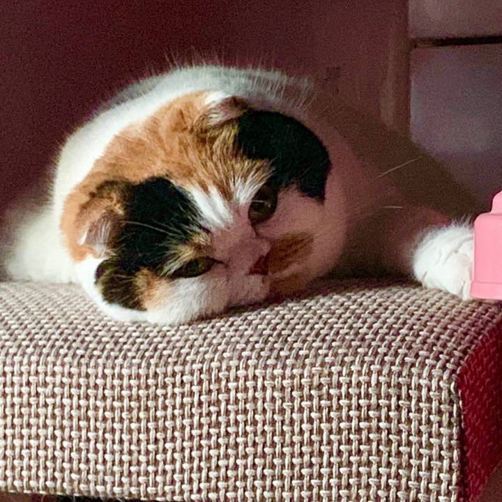 Ac93e819 b846 4f09 b6a0 57e5658e37a5 1567283470254