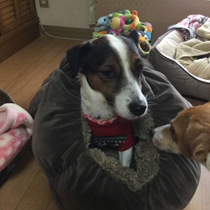 Ac941673 bfc2 4c05 b559 c65a6cf485a6 1511070890559