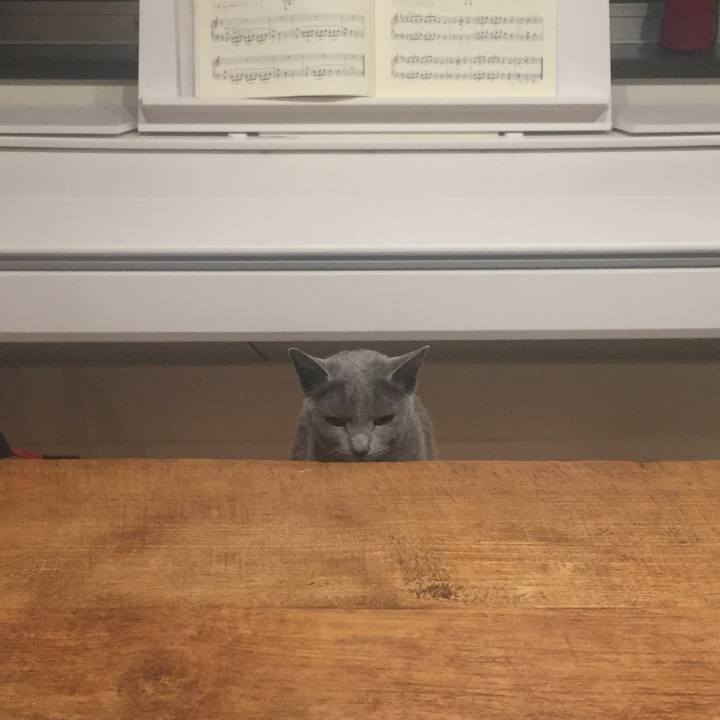 Ac941ee7 632c 4f7f bf94 e9b5309f62ed 1549322742535