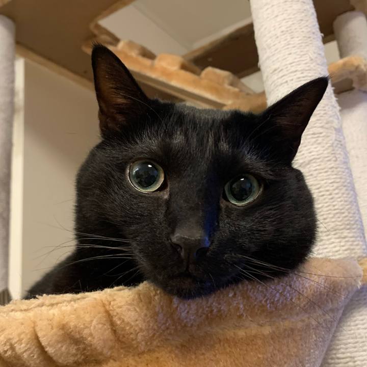 Ac944def 7625 451e aa56 2faca7503d3b 1674426927511