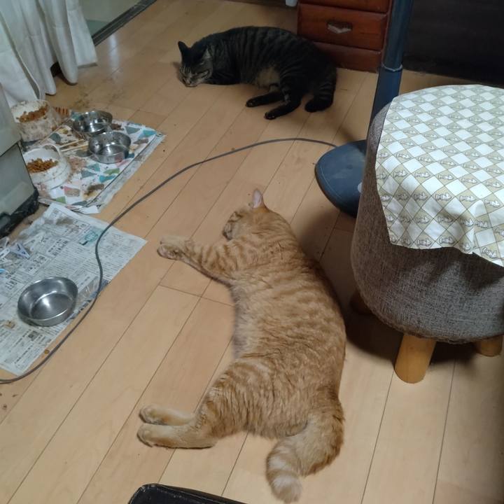 Ac94516f f5ed 4bc0 836f 4250f3ab6d2a 1692223874355