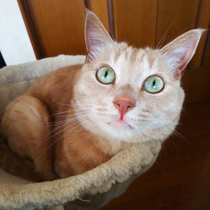 Ac9451f0 a3f6 4d62 b4d7 69304c60ee77 1688527131857