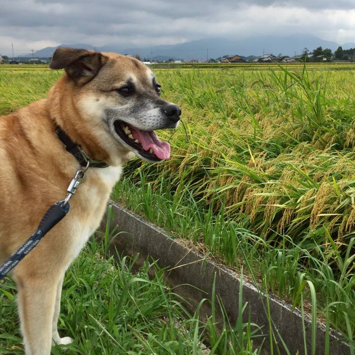 Ac9497e4 2573 4477 ad23 25280b5c3b2f 1535794526522