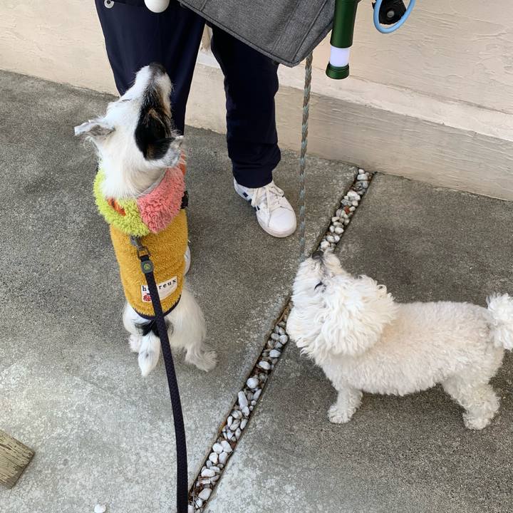 Ac94a4ad 9736 4b0c 902f 0489d60b462c 1737418337752