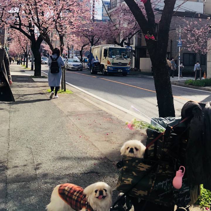 Ac94ab7c dd96 448c bbc2 763475040ced 1583742131259