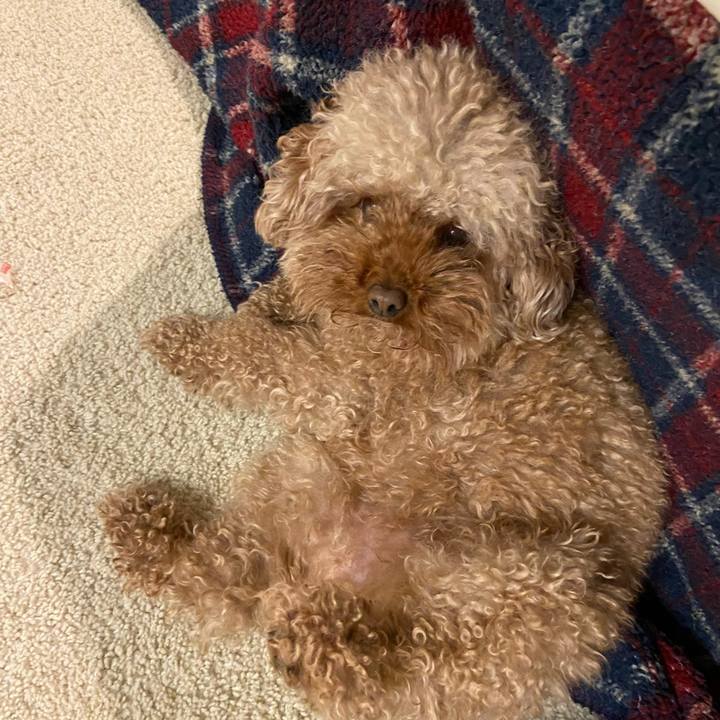 Ac94cc3c f065 4947 9fc0 cca57546d9f7 1700567628714