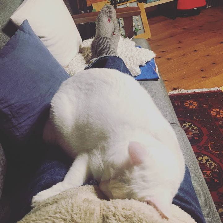 Ac953042 aa4d 4ed4 a888 247c1c522799 1577271990803