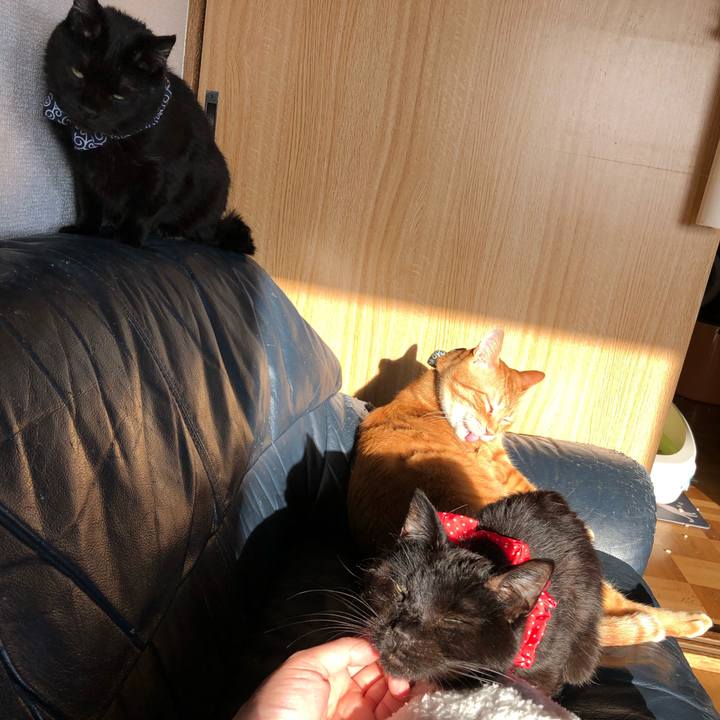 Ac9572df edf3 4636 8c51 81738a74c81d 1556573325249