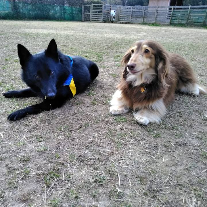 Ac9602d2 8b3c 4aeb a9fc b8c8d2e9488b 1581142588848