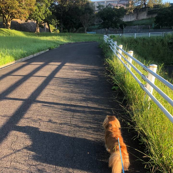 Ac96227b 41cf 40f6 9c21 8f4214a6c0a5 1537654971682