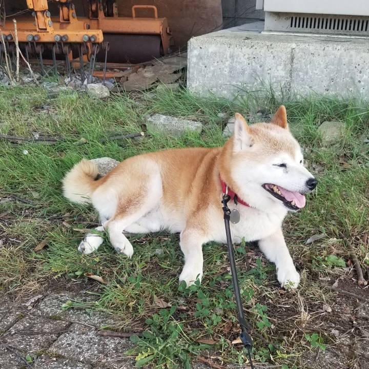 Ac964e09 b446 4bdd 8f75 04446256d9c0 1722588065288