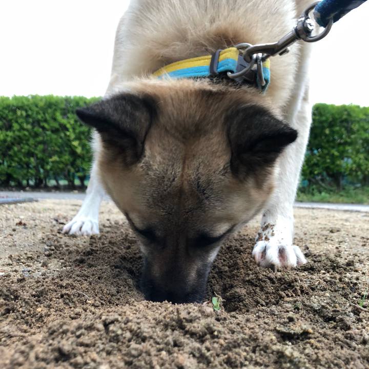 Ac9696e3 156d 4eea b021 065efdab100b 1561981642938