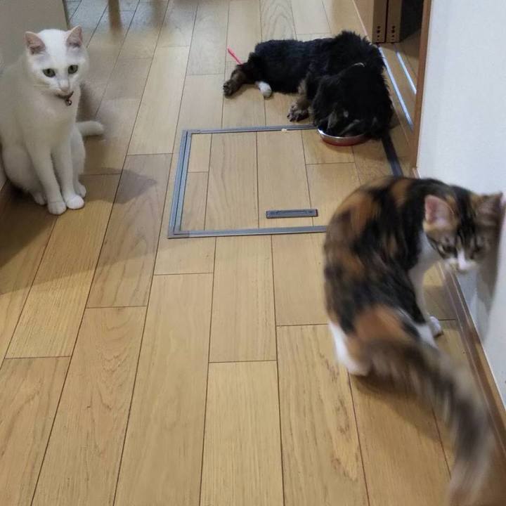 Ac96add8 29ed 402a ae9c af4efe371b38 1633049909679