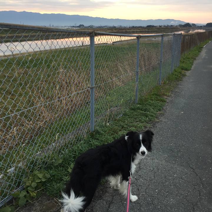 Ac96db6b b05d 4402 a094 e45a7a30a0a5 1575758989286