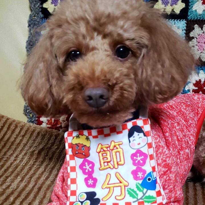 Ac97098e dc3d 4a1c 9f6e 29ccb75bc68a 1548746541415