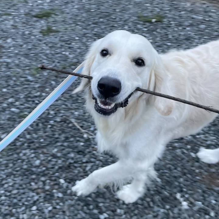 Ac977bdf 13d8 4695 8117 e70e26b5a5fe 1760861804165