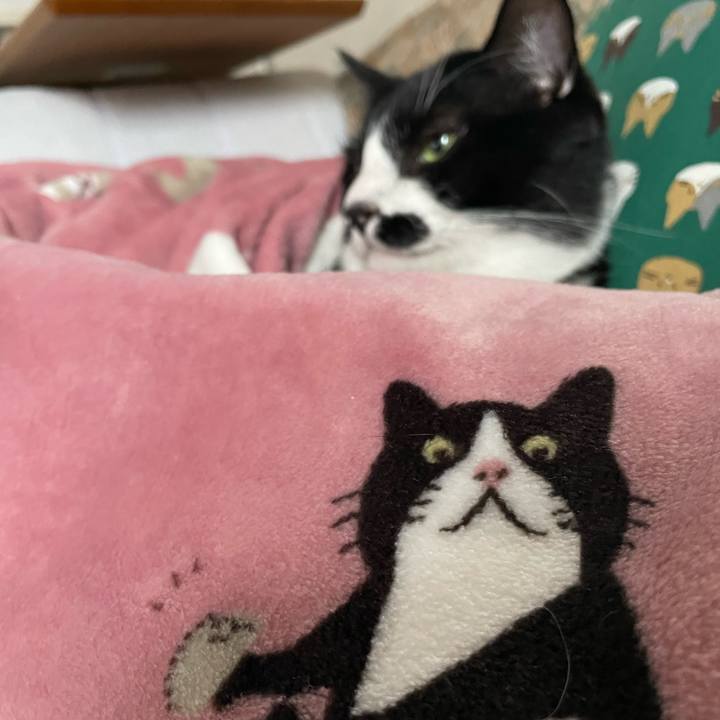 Ac97c45d 63c1 48d8 af5c 2ff20eb3b03e 1674447547402