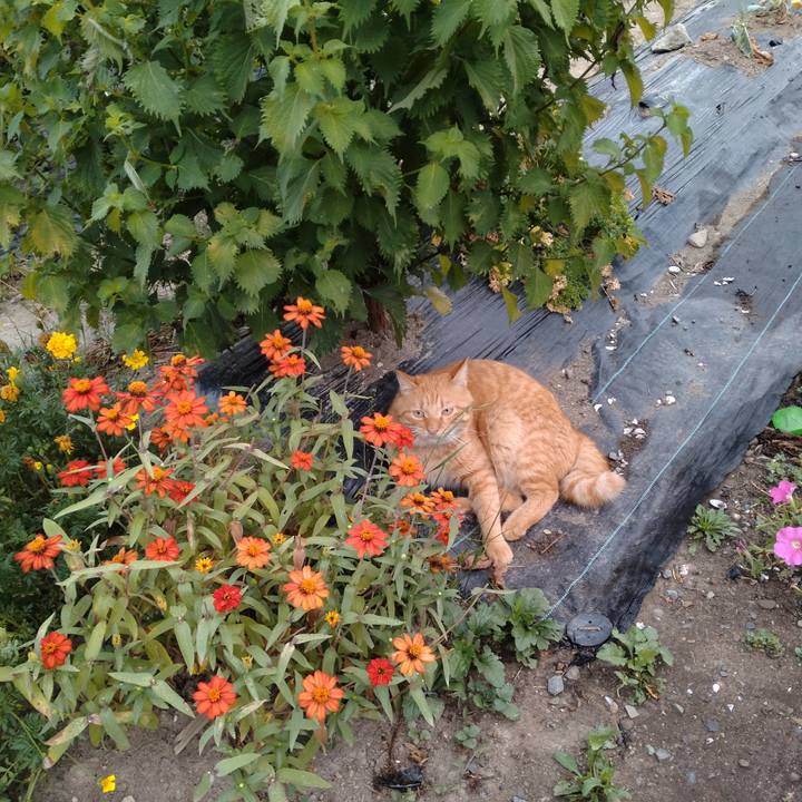 Ac97d57b 629d 4d87 8adb ac5f00cdf6cd 1693777633342