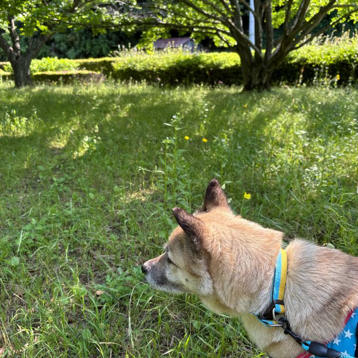 Ac97db2f 34ec 47cb 8eb3 1777569196f4 1748780119475