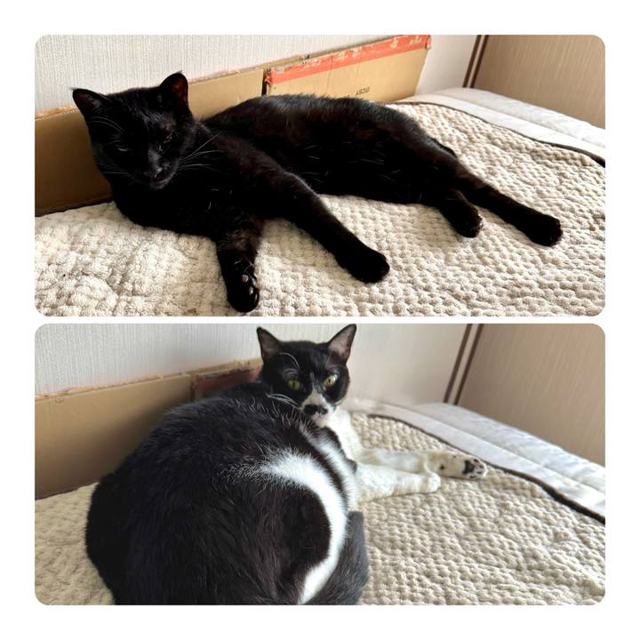 Ac97eaa4 e13e 47c2 b7ac e83c4d0a8513 1748667684082