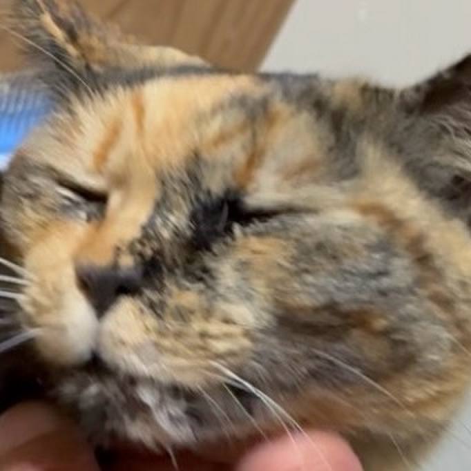 Ac98290b d2d6 4640 acf1 41af9a8e4fa3 1771843343674