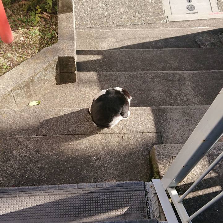 Ac9858ca fa0d 4bdd b58b 972c6e5a914b 1546075674840