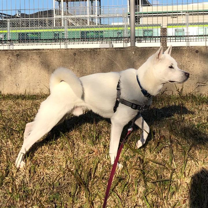 Ac986dd2 8df8 4553 9bf9 61f7ffa2af13 1552451447836