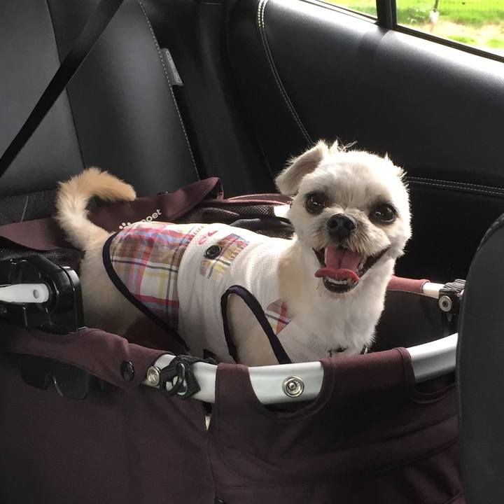 Ac98907b a613 49f1 b7f1 566e79be04a4 1564206647788