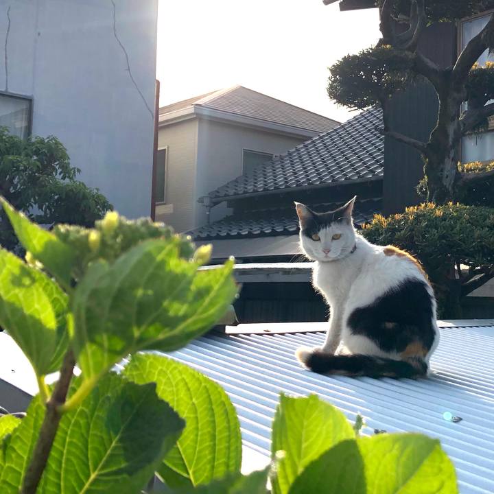 Ac98caaa 56bd 4362 a640 980eac5fd593 1620598488608