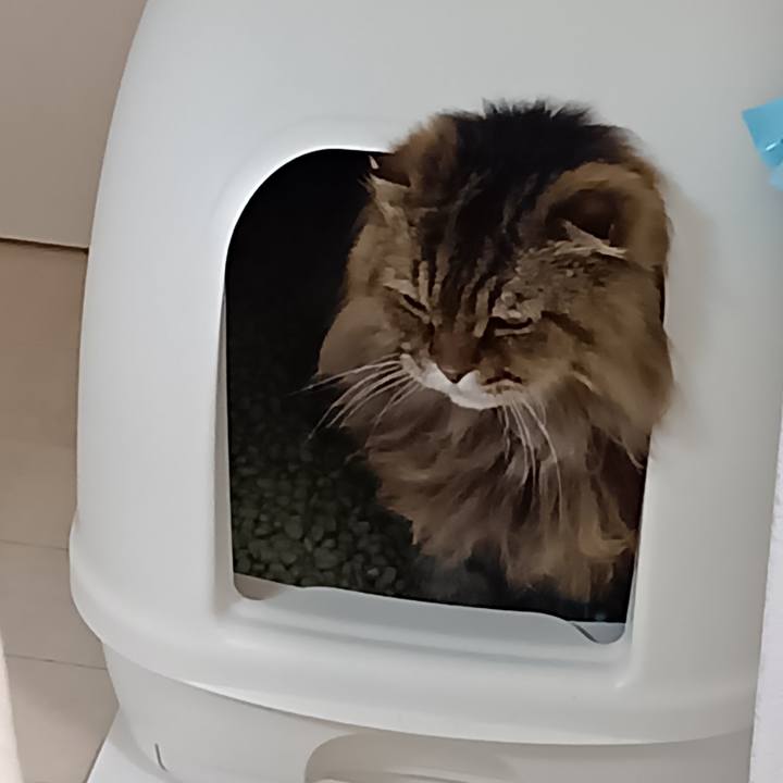 Ac98d440 8dbe 4e99 a73b 77ace09c318f 1758802960613