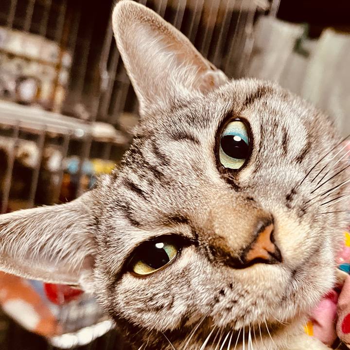 Ac98d634 5581 4bb2 912a 67017ee83410 1766956993118