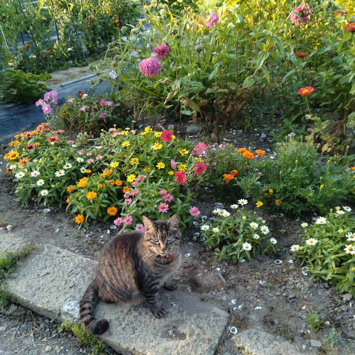 Ac98e604 252b 48c2 9229 c251cb9d018e 1690409308305