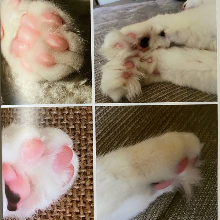 Ac98f5f4 ac67 42cd 80ee c9a662f860ad 1664054794978