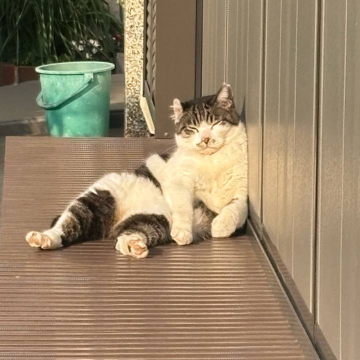 Ac990deb e32e 4b57 b3b4 1fd76def2404 1774956333151