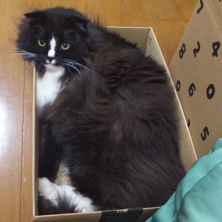 Ac991277 f828 4931 91d7 115bb8627323 1661219390327