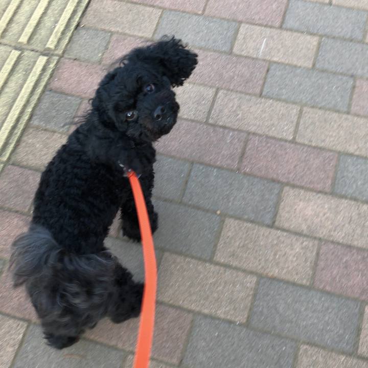 Ac991c56 482e 477b 8e43 515e1cd118c0 1536794151997