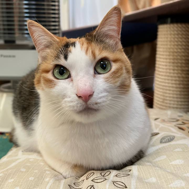 Ac997a62 f45f 408d 81f9 1a294fdc5655 1768343774669