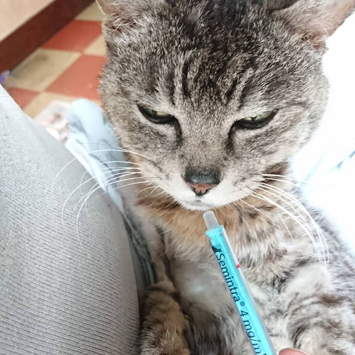 Ac99833d 1ffe 489a 9e58 08df3fbeb7eb 1588457630077