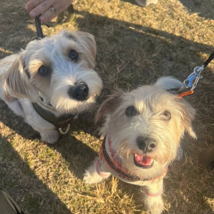 Ac9998a6 d69c 4f71 8358 dd7cd49dde88 1765107394593