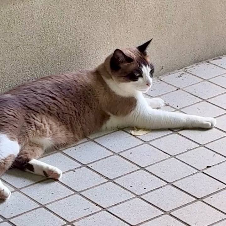 Ac99c0cf b282 42bd a6f2 5c699cac31ac 1751767616826