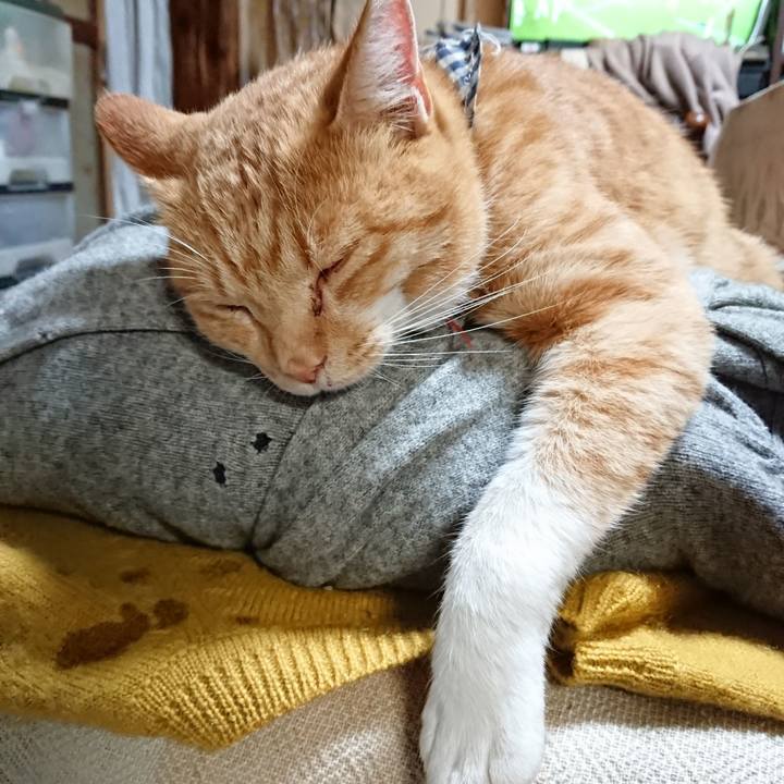 Ac99e486 adbe 453a 954e e1d8075c7110 1571576317829