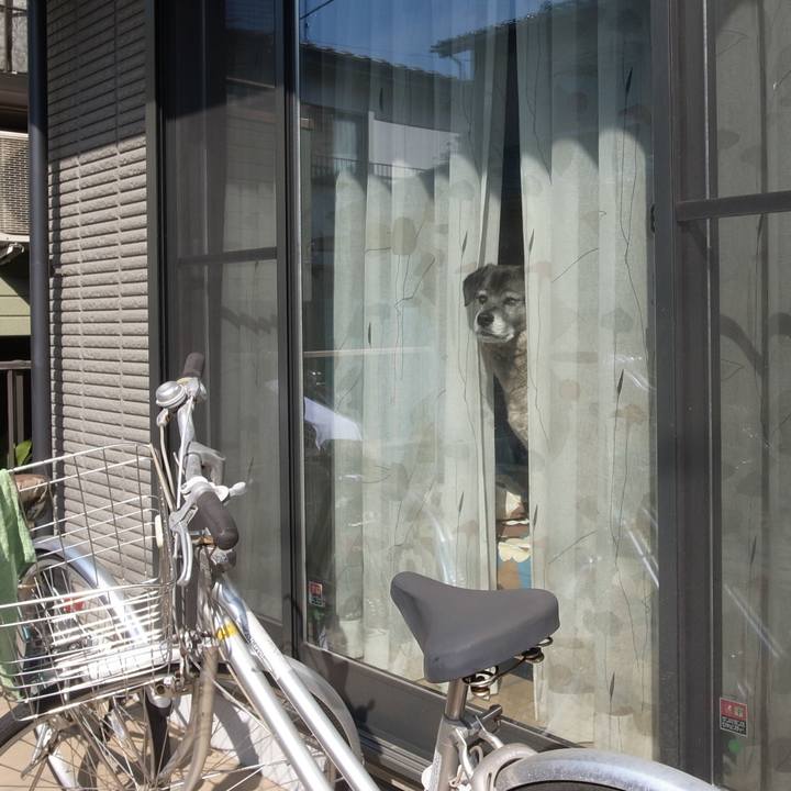 Ac9a7f3a aa9b 48f5 a74c abbfe7538f42 1717985446819