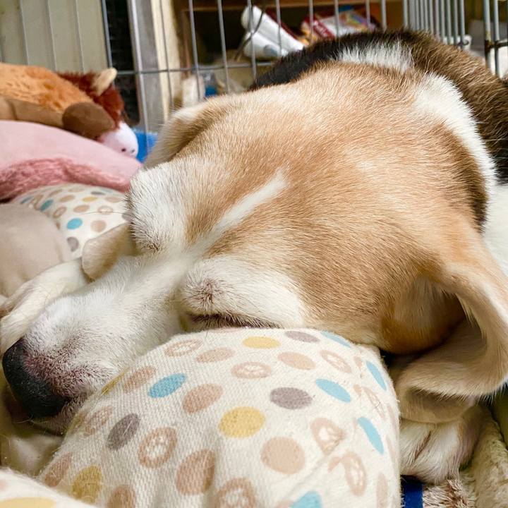 Ac9a8a1b d212 4d84 a0d1 309954ad2341 1599881829783