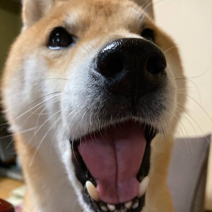 Ac9a8e29 d6c3 4e6d 85e4 707fac2f38aa 1650110281581