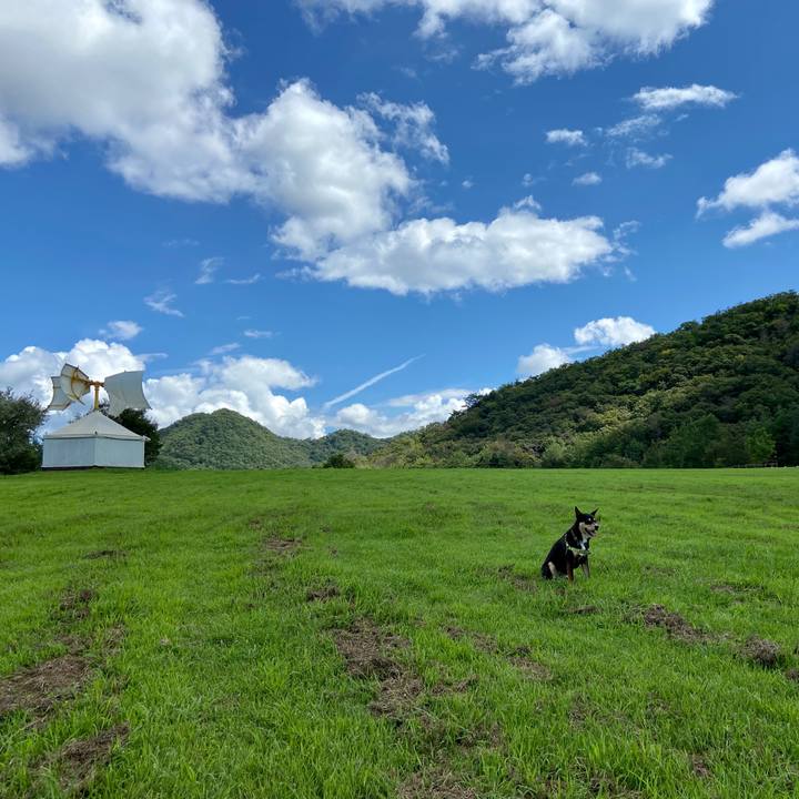 Ac9ab82b 2958 4d6c be22 047044e982a0 1630931039836