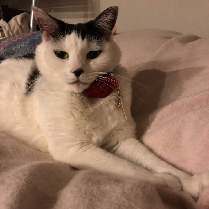 Ac9ac9cf 6da7 4d06 85c1 9708e23c318c 1525793287749