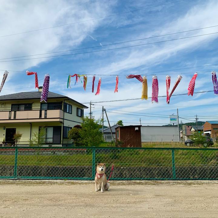 Ac9afb3d 8015 4de1 b053 80e98f497e3d 1682670984055